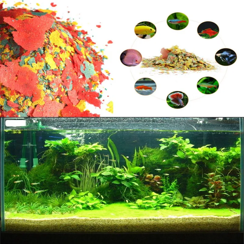 NEW Healthy Fish Food Flakes F - Health Wellness Items incelemesi ve fiyatı
