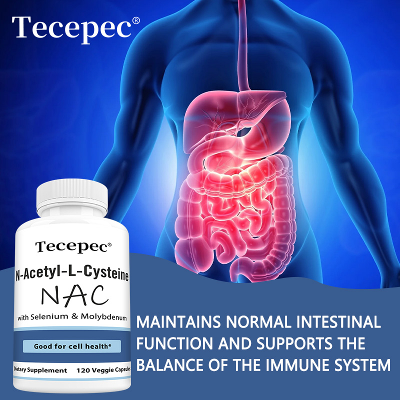 NAC Capsules – Antioxidant, Su - Health Wellness Day incelemesi ve fiyatı