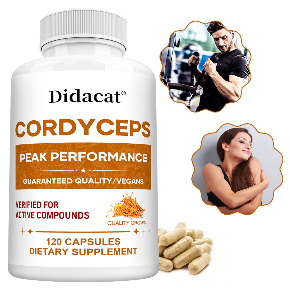 Cordyceps Mushroom Capsules 10 - Health Wellness Day incelemesi ve fiyatı